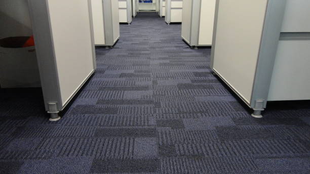 New carpet installation Westland MI